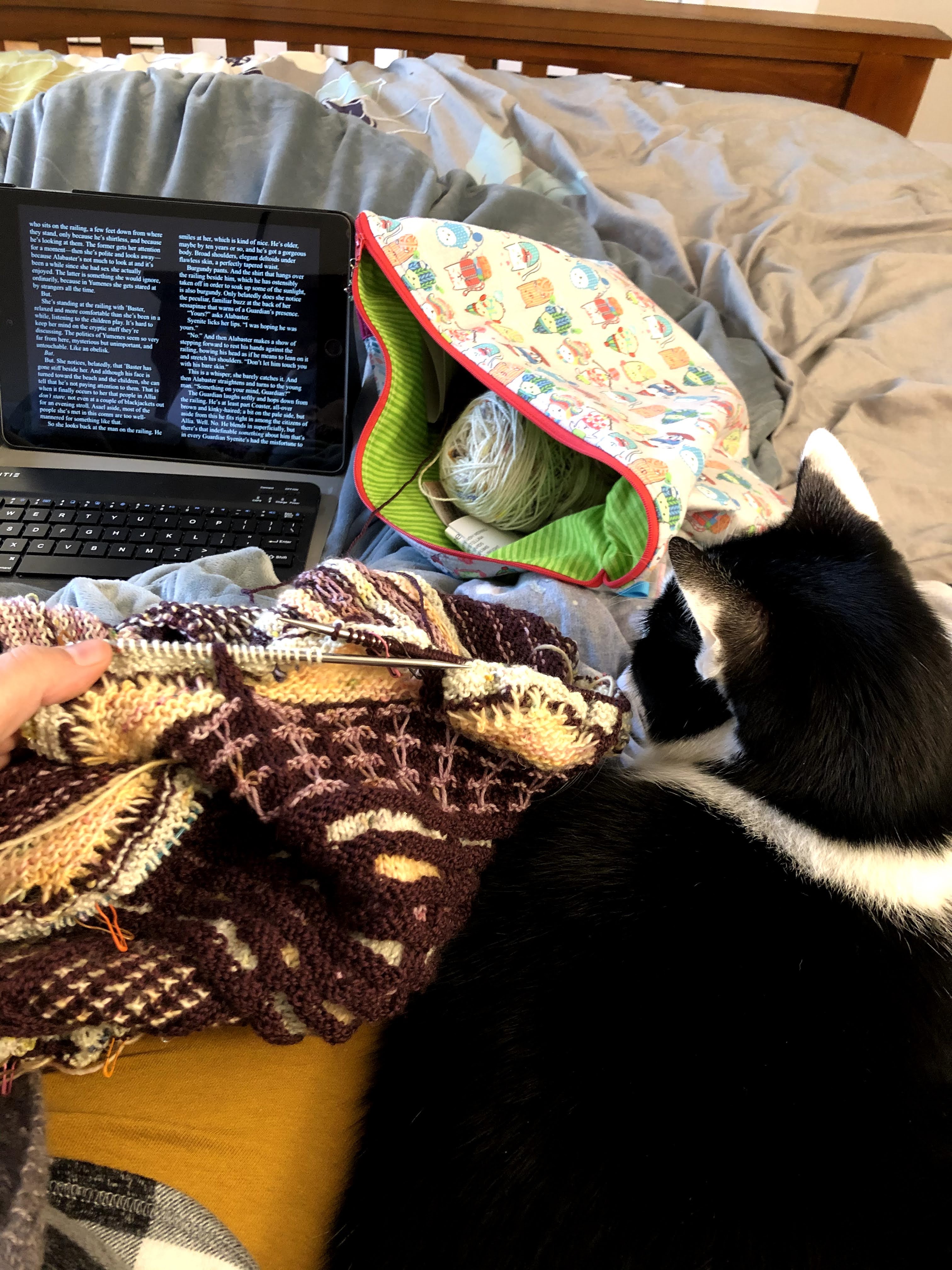 So much reading! – Unraveled Wednesday