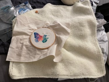 Big Stitches, Little Stitches – YOP 21/22 – Week 13