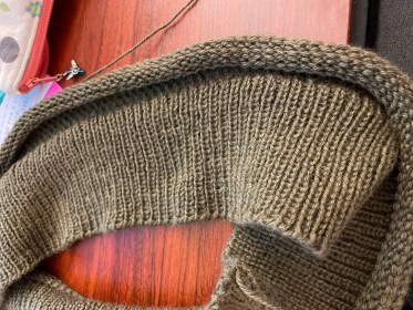 The Rare Downside to Test Knitting – YOP 21/22 – Week 22
